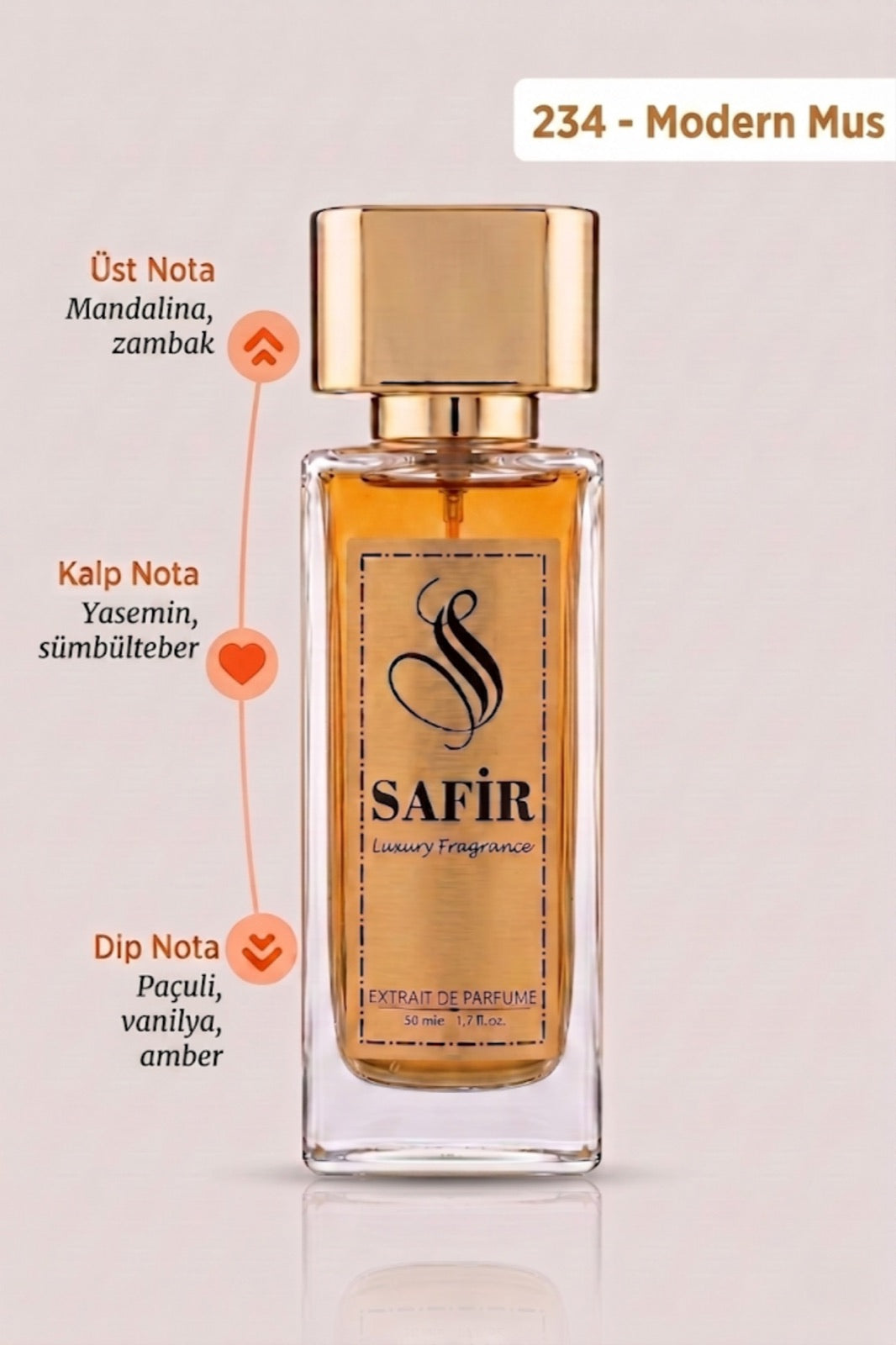 Modern Mus