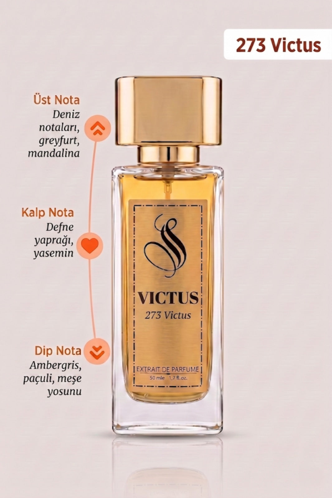 Victus