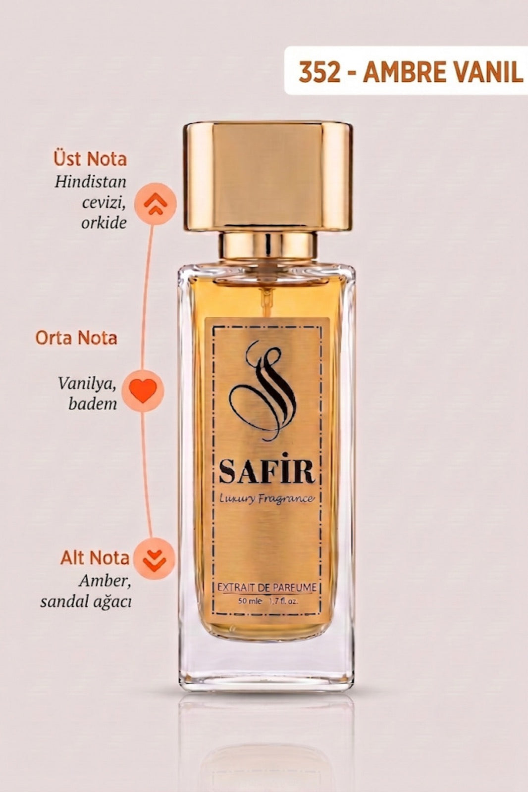Ambre Vanil